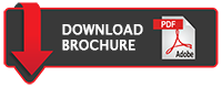 pdf icon